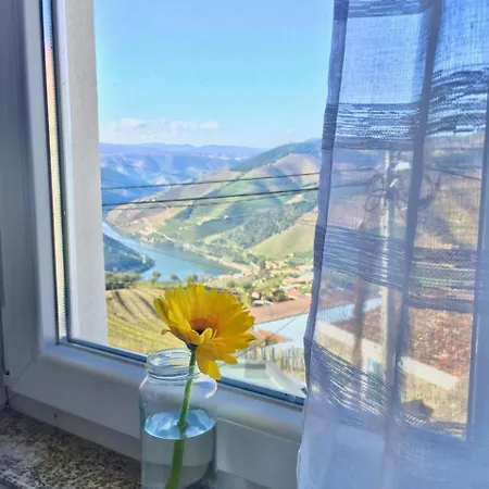 Douro Modern & River Vineyard Views Σπίτι διακοπών Casal de Loivos