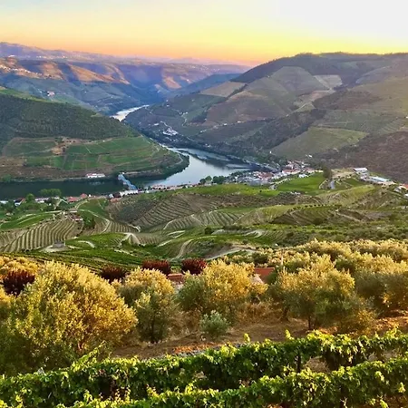 Douro Modern & River Vineyard Views Vakantiehuis