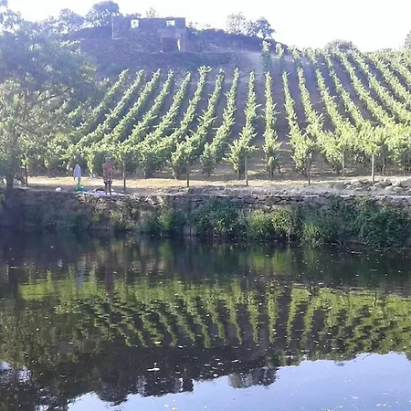 Douro Modern & River Vineyard Views *