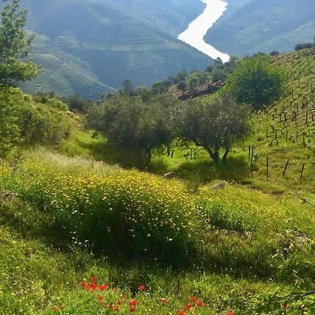 Douro Modern & River Vineyard Views Σπίτι διακοπών Casal de Loivos